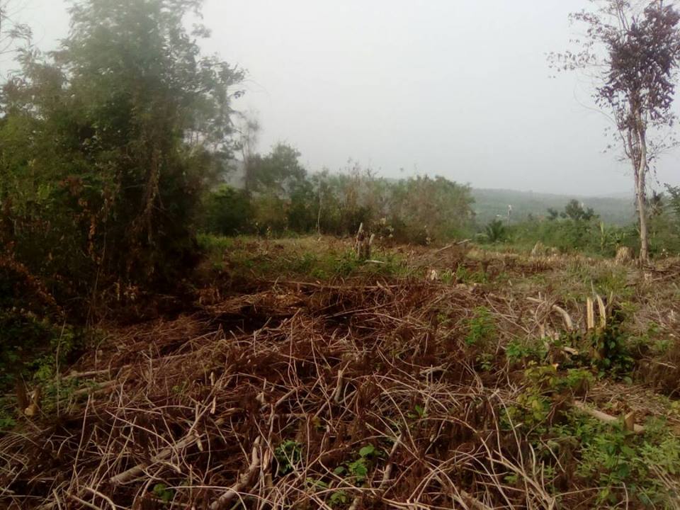 planting target, April 2018 - Ofie Support Unit (2) planting target, April 2018 - Ofie Support Unit (2)