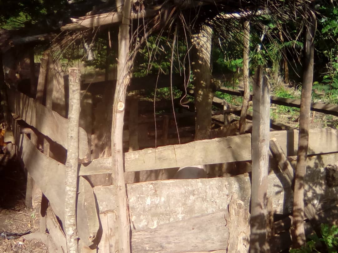 livestock farming project 2 - Ofie Support Unit 
