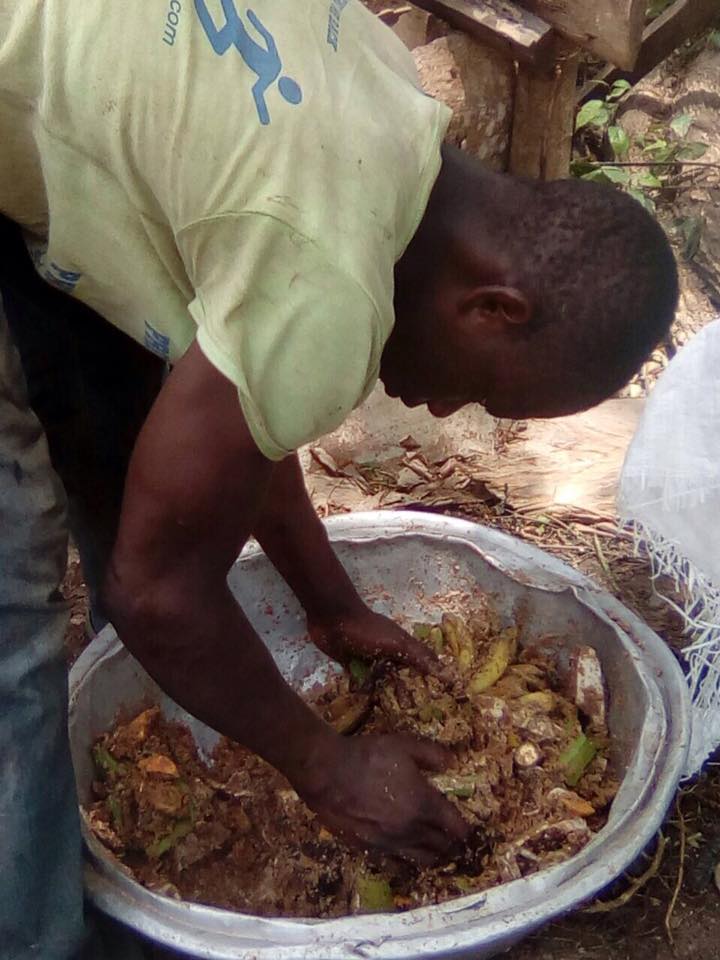 preparing animal food preparing animal food