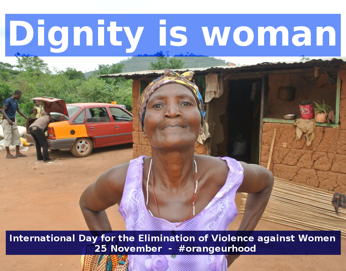 International Day for the Elimination of Violence against Women